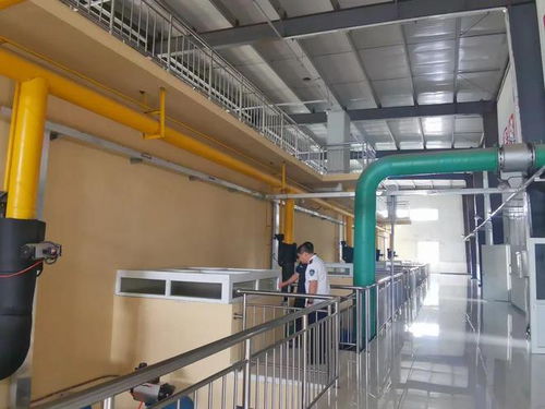 防汛保民生，飲水更無憂——白溝新城民生保障局全力筑牢供水安全防線