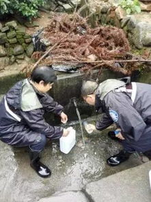 組建應(yīng)急分隊，筑牢汛期飲水安全防線